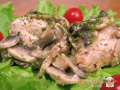 Chicken stew with mushrooms and sour cream