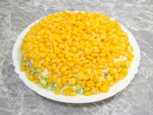 ���� 13