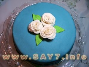 Bird milk cake