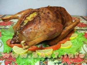 Stuffed goose