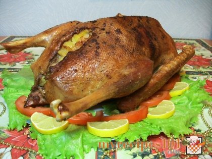 Stuffed goose